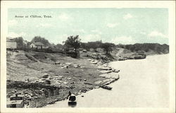 Scene at Clifton, Tenn. Postcard