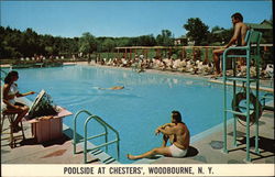 Poolside at Chesters' Postcard