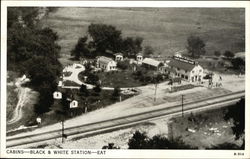 Black and White Cabins and Filling Station Postcard