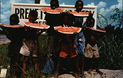 Watermelon Time Down South Black Americana Postcard Postcard Postcard