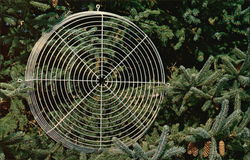 Stock #497754 Thumbnail