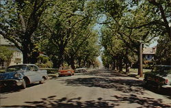 Alameda's Residential Areas Postcard