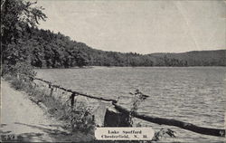Lake Spofford Postcard