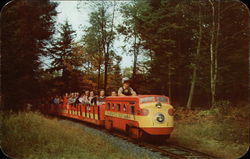 The Enchanted Forest of the Adirondacks Postcard