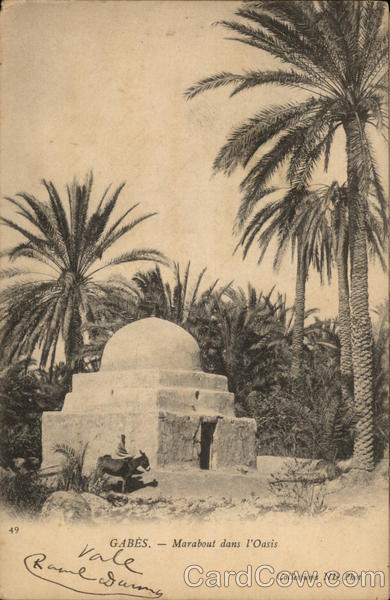 GABES - Marabout dans l'Oasis Tunisia Africa
