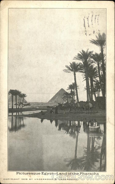 Pyramids and NIle Egypt Africa