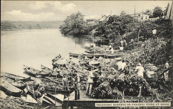 Unloading Bananas on Chagres Bohio Panama