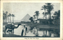 Along the Nile Postcard