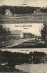 Greetings from Dameswalde Postcard