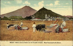 Mexico - Modern American Binders near the Pyramids of Cholula Postcard
