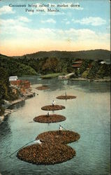 Coconuts Being Rafted to Market on Pasig River Postcard