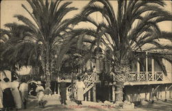 Pabellon de Mar Postcard