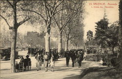 Alameda Valencia, Spain Postcard Postcard 