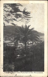 Looking East over Funchal to Mountains Postcard