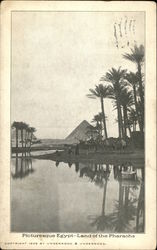 Pyramids and NIle Postcard