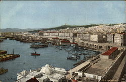 General View Postcard