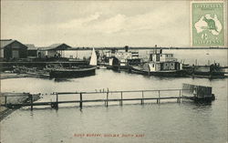 River Murray Postcard