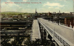 View of New Mulberry Street Bridge Postcard