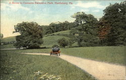 A Scene in Cameron Extension Park Postcard