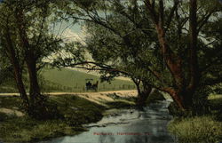View of Parkway Postcard