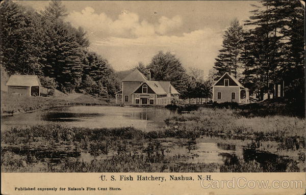 U.S. Fish Hatchery Nashua New Hampshire