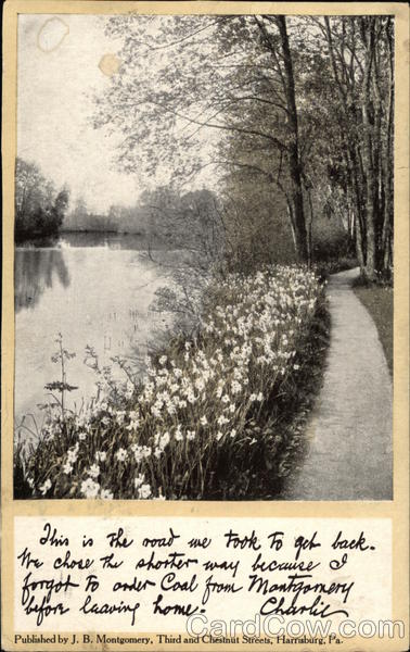 Road Along the River Harrisburg Pennsylvania