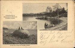 Along the Coast at Castine Postcard