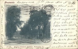 South Tremont Street Postcard