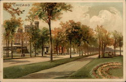On Lake Shore Drive Chicago, IL Postcard Postcard Postcard