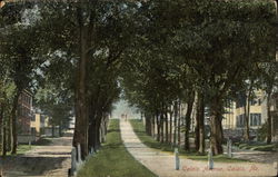 Calais Avenue Postcard