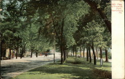 View of Front St. park Postcard