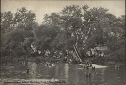 Independence Island Bathing Pool Postcard
