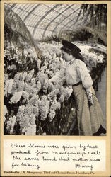 Woman Looking at Flowers in Hot House Woman Looking at Flowers in Hot House