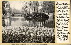 Stock #501296 Thumbnail