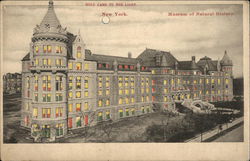 Museum of Natural History Postcard