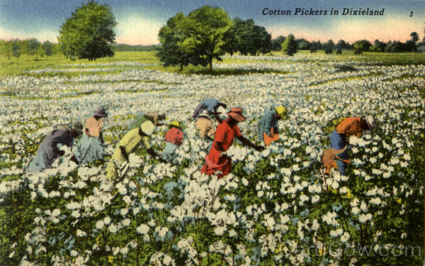 Cotton Pickers In Dixieland Black Americana