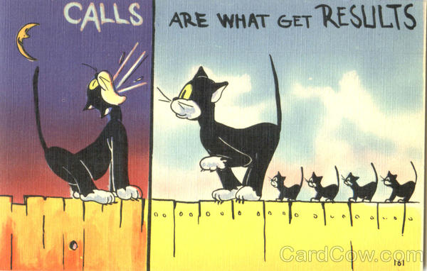 Calls Are What Get Results Cats