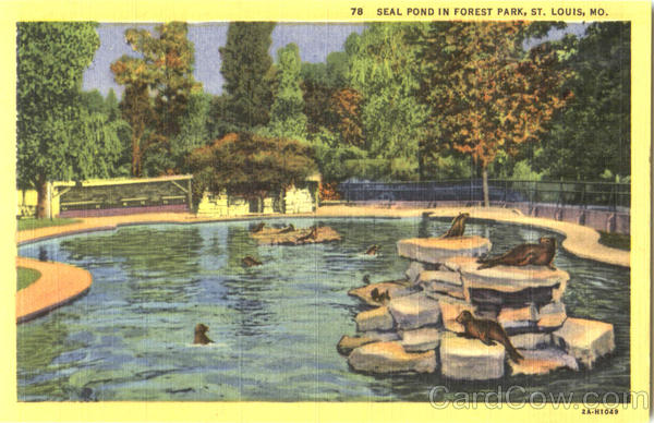 Seal Pond In Forest Park St. Louis Missouri
