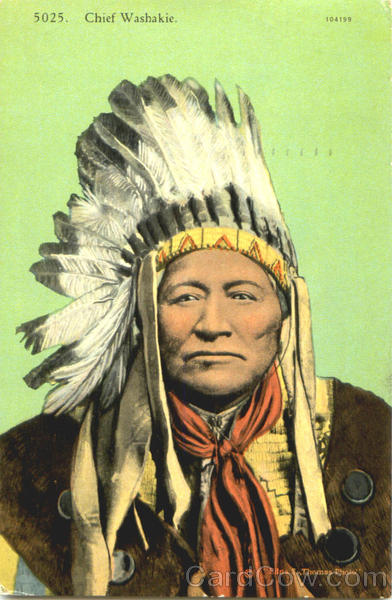 Chief Washakie Native Americana