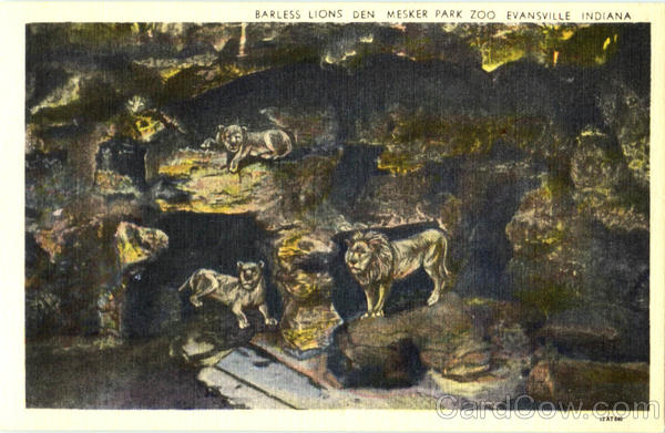 Barless Lions Den Mesker Park Zoo Evansville Indiana