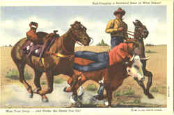 Bull-Dogging A Hereford Steer In West Texas , n Postcard