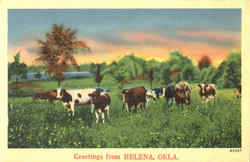 Greetings From Helena Postcard