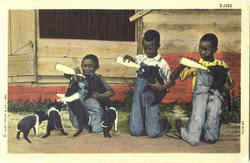 Black Children - Feeding Pigs Black Americana Postcard Postcard