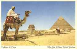 Sphinx At Cairo Postcard