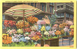Sidewalk Flower Stands Postcard