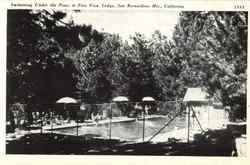 Swimming Under The Pines At Pine View Lodge Postcard