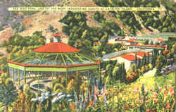 The Bird Park Santa Catalina Island, CA Postcard Postcard