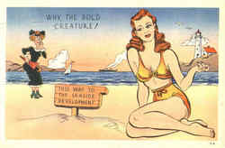 Why, The Bold Creature! Bikini Postcard