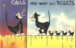 Calls Are What Get Results Cats Postcard Postcard