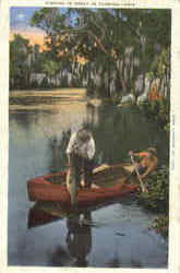 Fishing Is Great In Florida Postcard